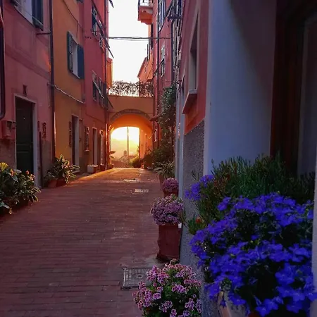 Dagli Ulivi Al Mare *